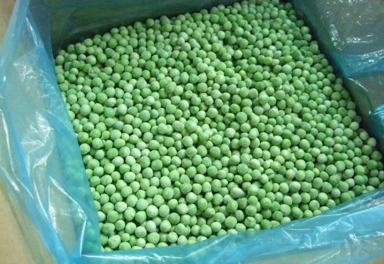 China New Crop IQF Frozen Green Pea
