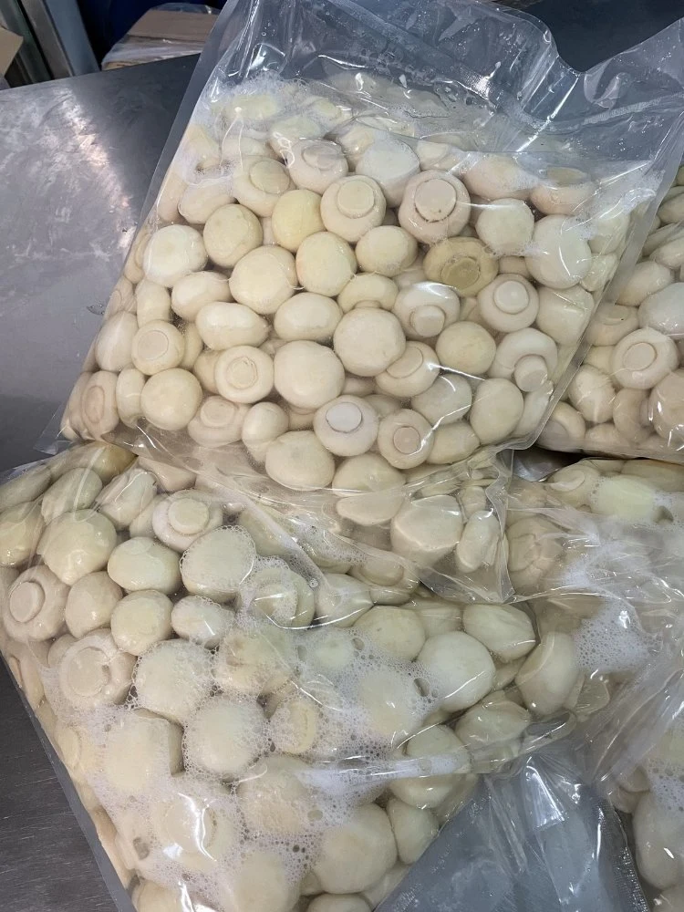 Champignon Mushroom in Brine, So2 Pack in Plastic Bag, in Drum