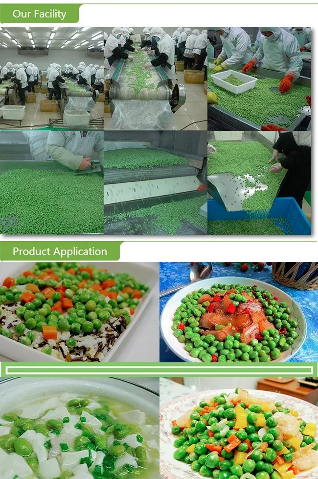 2022 New Crop China Vegetable Frozen IQF Green Peas with Brc ISO FDA Kosher