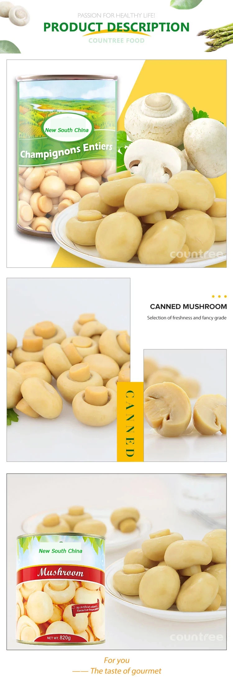 Manufacturer Canned Food Vegetables Bulk Wholesale 425 G Canned Whole Part Mushroom with Factory Price