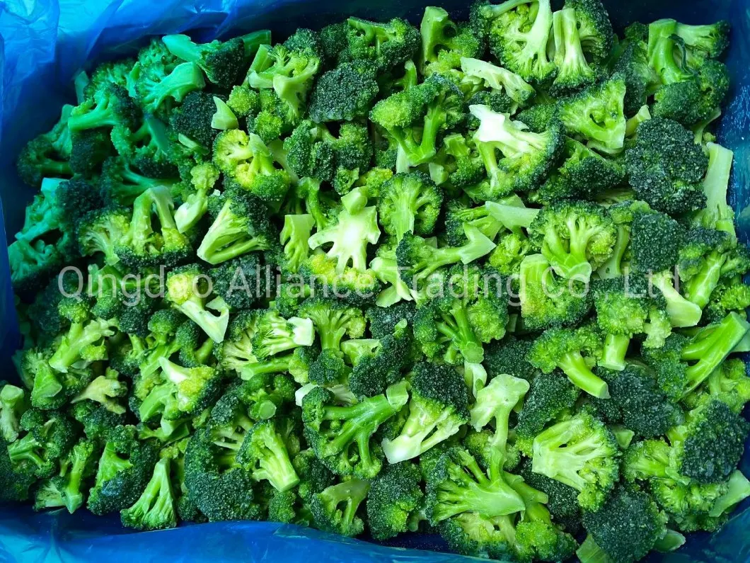 China Organic Manufacturer Factory Frozen Green Broccoli Cut IQF Crop Green Broccoli with Good Price