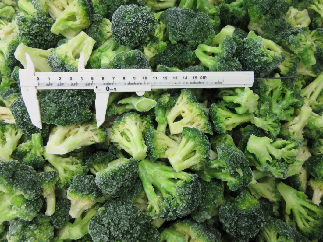 Sinocharm Grade a Frozen Broccoli IQF Broccoli 3-5cm
