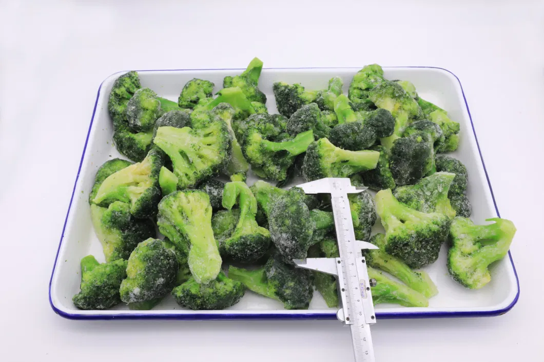 Sinocharm Grade a Export High Quality IQF 3-5 Cm Frozen Broccoli