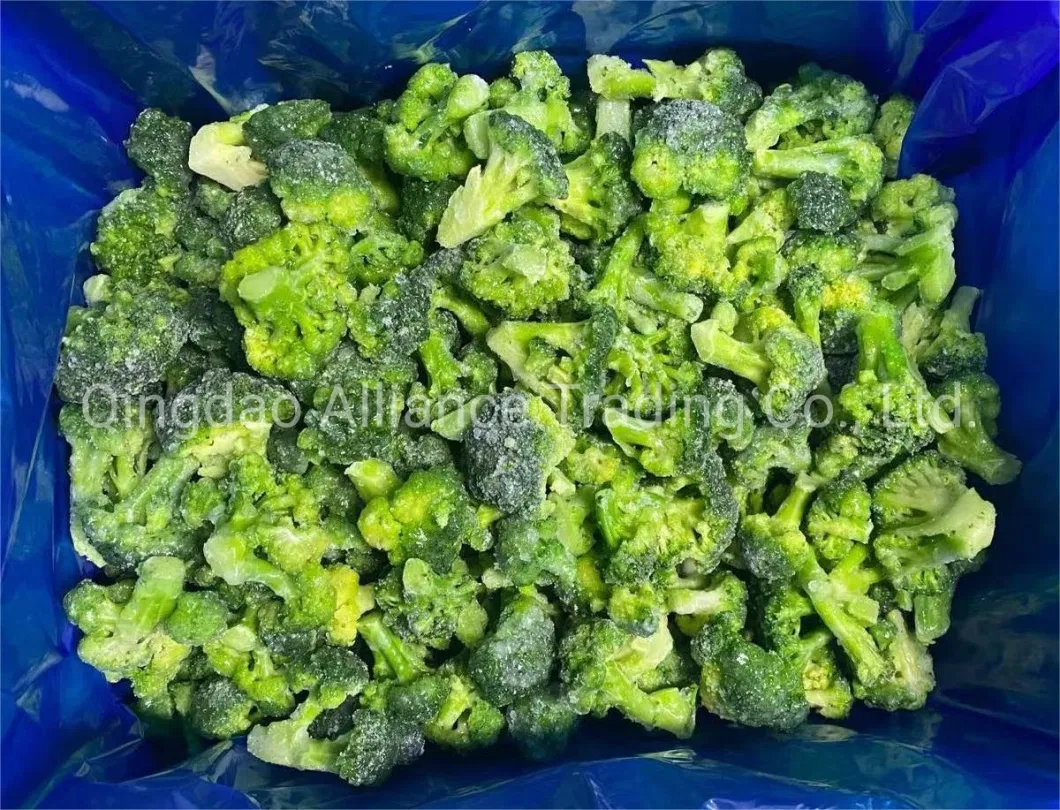China Organic Manufacturer Factory Frozen Green Broccoli Cut IQF Crop Green Broccoli with Good Price