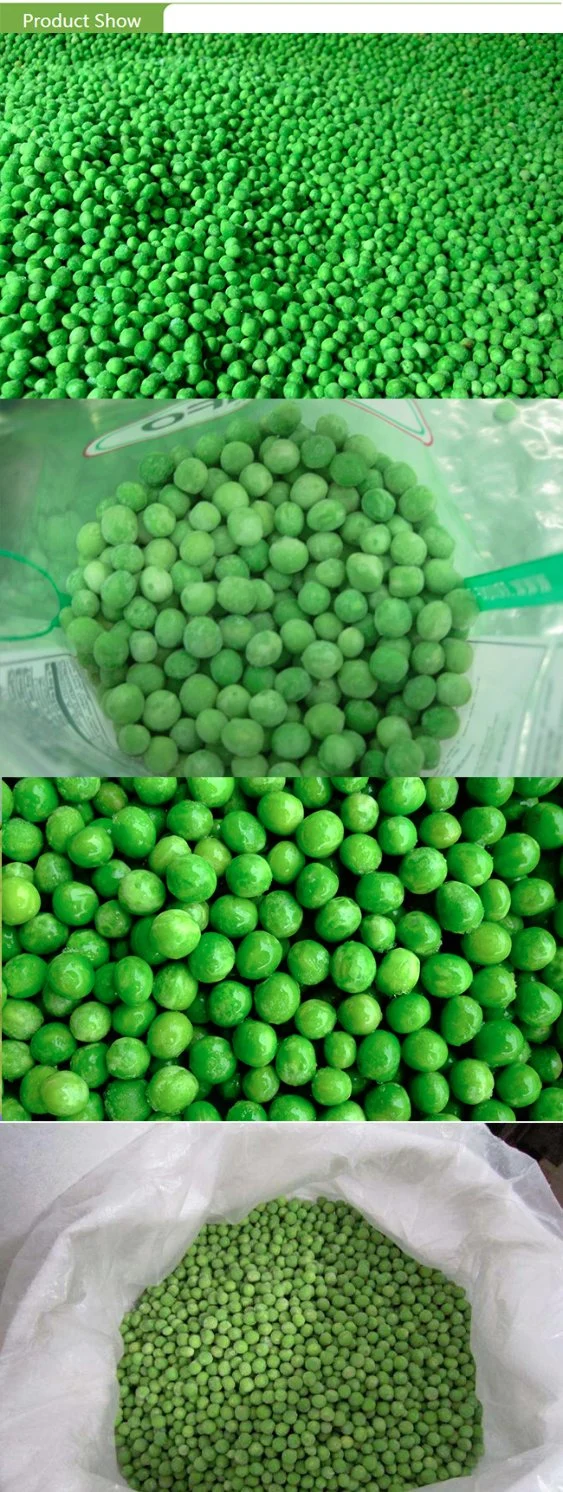 High Quality China Frozen IQF Green Peas with Brc FDA HACCP Halal Certifications