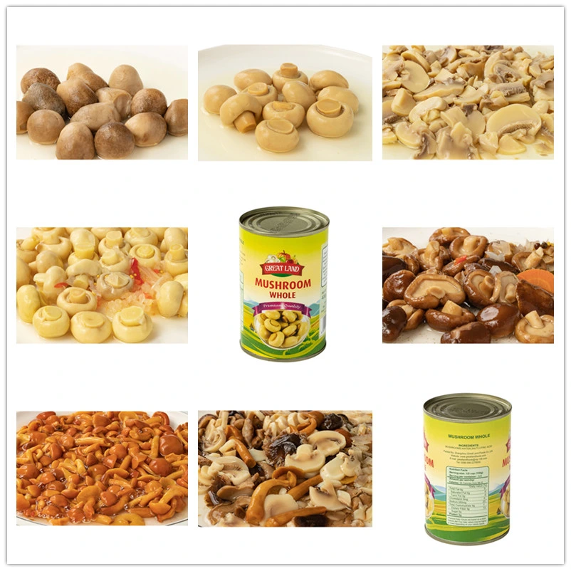 Healthy Canned Food Mushroom Whole for Supermarket/Wholesale