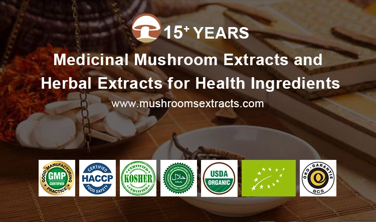 Health Food ISO Approved 25kg/Bag/Drum 30% Polysaccharide Hericium Erinaceus Mushroom