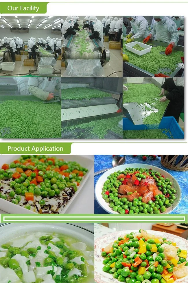 Top Quality China Frozen IQF Green Peas Direct Supply in Bulk Retail Packing with Brc FDA HACCP Certification