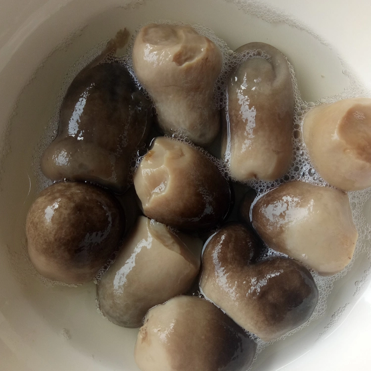 Canned Food Canned Straw Mushroom Whole in Brine