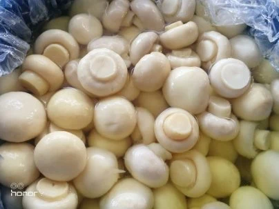 Food Preserved Mushroom in Drum From China