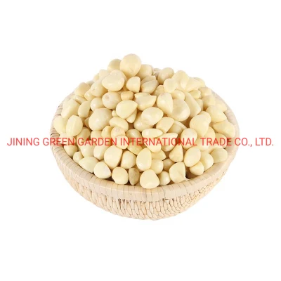 2021 Chinese Salted Garlic in Brine in Drums with Competitive Price/Peeled Picked Garlic Cloves