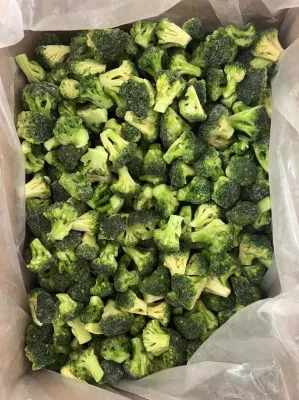 IQF Frozen Supply Green Broccoli